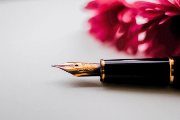 Close-up of a Desirable Mind fountain pen with a pink flower in the background