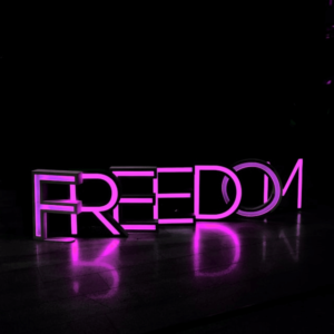 A glowing neon sign that spells out the word "FREEDOM" in capital letters, illuminated in vibrant pink against a dark background, situated on a floor with a subtle reflective surface.